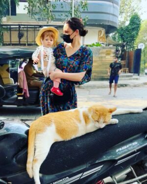Olwen Catherine Kelly Instagram - A Streetcat Name Unknown.