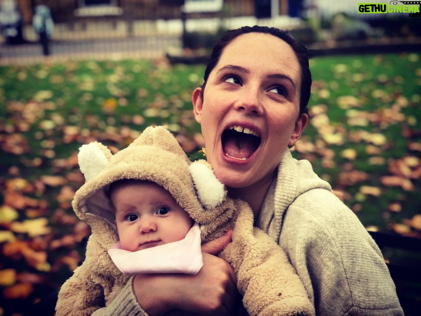 Olwen Catherine Kelly - 1.9K Likes - Dogs are not allowed in this park but bears are...
#bear #hugs #autumn