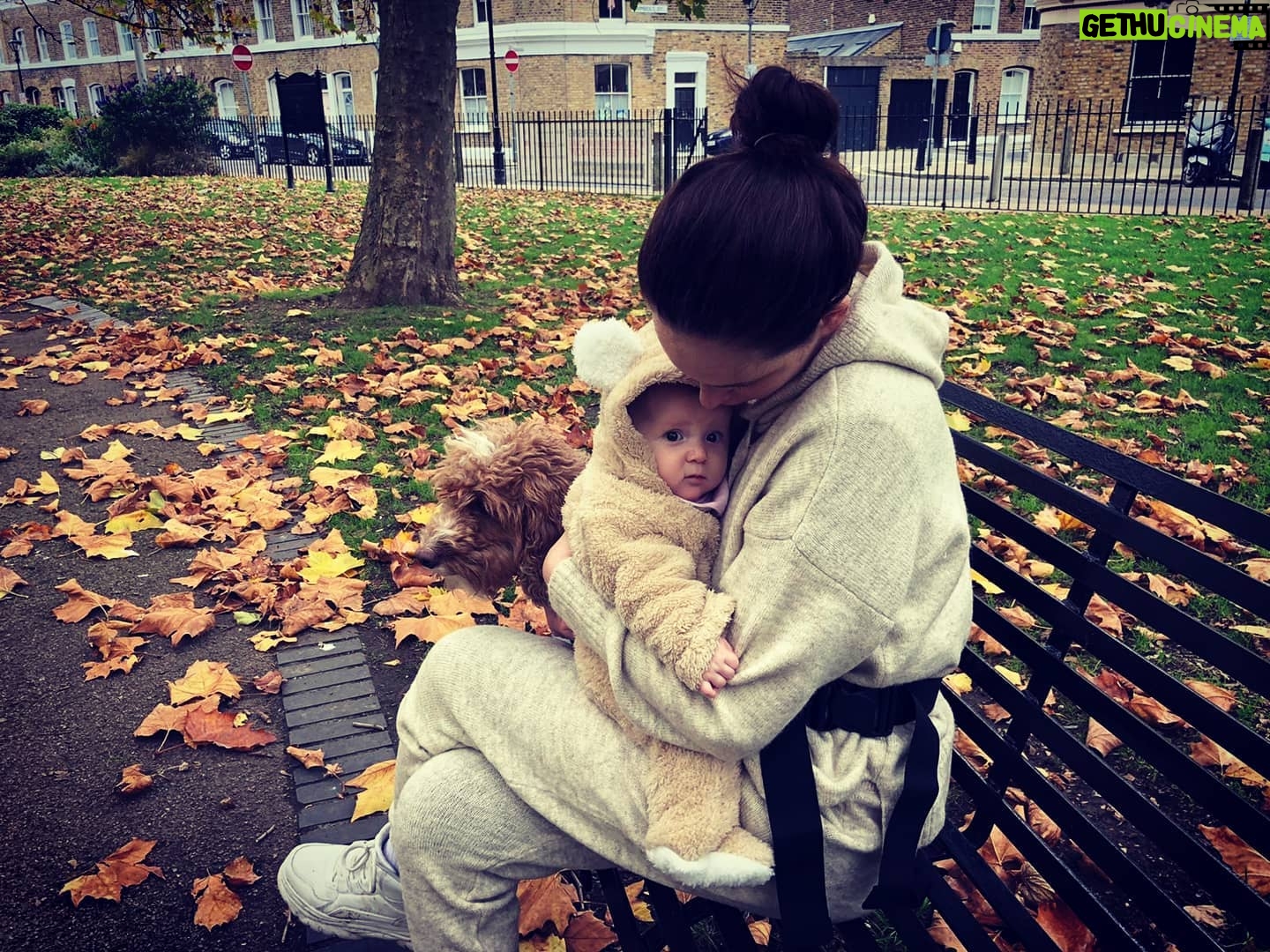 Olwen Catherine Kelly - 1.9K Likes - Dogs are not allowed in this park but bears are...
#bear #hugs #autumn