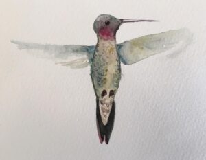 Oona Chaplin Instagram - Watercolor is really helping me feel peace. I find it very challenging, but I’m a novice.
This little guy flew through with a message: when the world is distressing, it is not a waste to dedicate a moment to beauty, to quiet enchantment. 
#hummingbird #watercolour #peace #beauty
