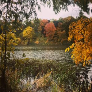 Oona Chaplin Instagram - Thank you #Toronto for your symphony of change. With outrageous brilliance you remind us to let go of that which no longer serves us in beauty, to celebrate the release as we are left bare, stripped of almost everything, to discover new potential in ourselves. #Letitgo #change #release #fall #eskawatakayawei #togetherwerise #notafraid #breatheyourbiome #autumn