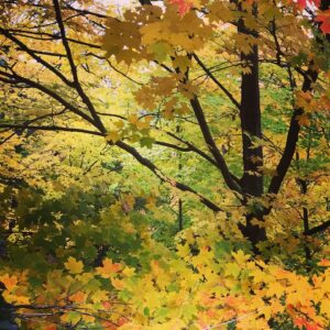 Oona Chaplin Instagram - Thank you #Toronto for your symphony of change. With outrageous brilliance you remind us to let go of that which no longer serves us in beauty, to celebrate the release as we are left bare, stripped of almost everything, to discover new potential in ourselves. #Letitgo #change #release #fall #eskawatakayawei #togetherwerise #notafraid #breatheyourbiome #autumn
