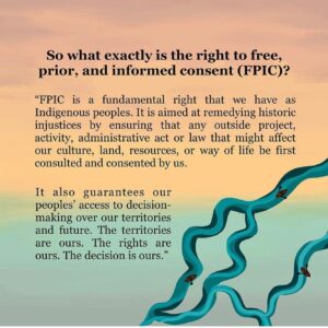 Oona Chaplin Instagram - Free, Prior and Informed Consent is basic human decency. Across the board. And we have the right to say no you will not enter my land, my body, my family, I -we- do not consent. You may think this is right and profitable for you, but that is not how I -we- see things. We have a different understanding of the world. Of nature. We take care of ourselves, our families, our land, in ways that we know to be true and good. We are not perfect, but our ways are sacred. You may come here as a guest, as equals, and we can do our best to understand one another, and perhaps even find ways to collaborate, with transparency and respect. And this may take time because you have been know you lie, and have little respect for life and decency. Because this land, this body, this family, is sacred, and we do not consent to your poison here. We do not consent. This may be what you believe is true and right, so do it in your own home, to your own body, and feel the consequences for yourself. But not here. Not us. Not our land, our body, our family. Basic. Human. Decency. 
#indigenous #humanrights #ecuador #nature #extractivism #freedom #freewill #wearenature #oneplanet #onetribe #onebody #onelove @amazonwatch