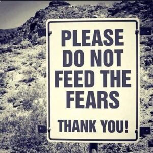 Oona Chaplin Instagram - There are two wolves inside you. One is fear and hate, the other love and truth. 
Which one grows? 
The one you feed. 
#cherokee #indigenouswisdom #indigenous #wisdom