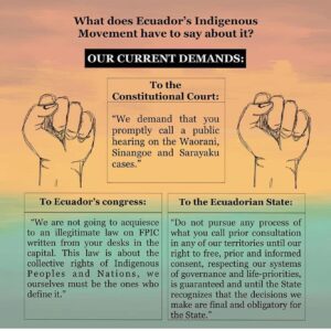 Oona Chaplin Instagram - Free, Prior and Informed Consent is basic human decency. Across the board. And we have the right to say no you will not enter my land, my body, my family, I -we- do not consent. You may think this is right and profitable for you, but that is not how I -we- see things. We have a different understanding of the world. Of nature. We take care of ourselves, our families, our land, in ways that we know to be true and good. We are not perfect, but our ways are sacred. You may come here as a guest, as equals, and we can do our best to understand one another, and perhaps even find ways to collaborate, with transparency and respect. And this may take time because you have been know you lie, and have little respect for life and decency. Because this land, this body, this family, is sacred, and we do not consent to your poison here. We do not consent. This may be what you believe is true and right, so do it in your own home, to your own body, and feel the consequences for yourself. But not here. Not us. Not our land, our body, our family. Basic. Human. Decency. 
#indigenous #humanrights #ecuador #nature #extractivism #freedom #freewill #wearenature #oneplanet #onetribe #onebody #onelove @amazonwatch