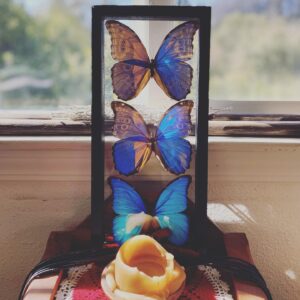 Oona Chaplin Instagram - The caterpillar wills 
#awavena