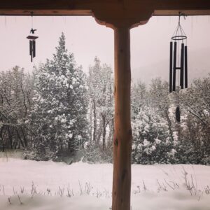 Oona Chaplin Instagram - #snow #bernie #mittens #charliechaplin
