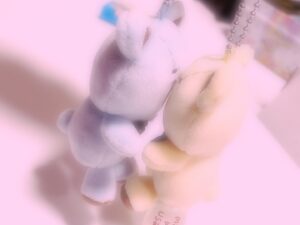Oozora Subaru Instagram - トワと色違いのキーホルダー買ったかわいい🧸