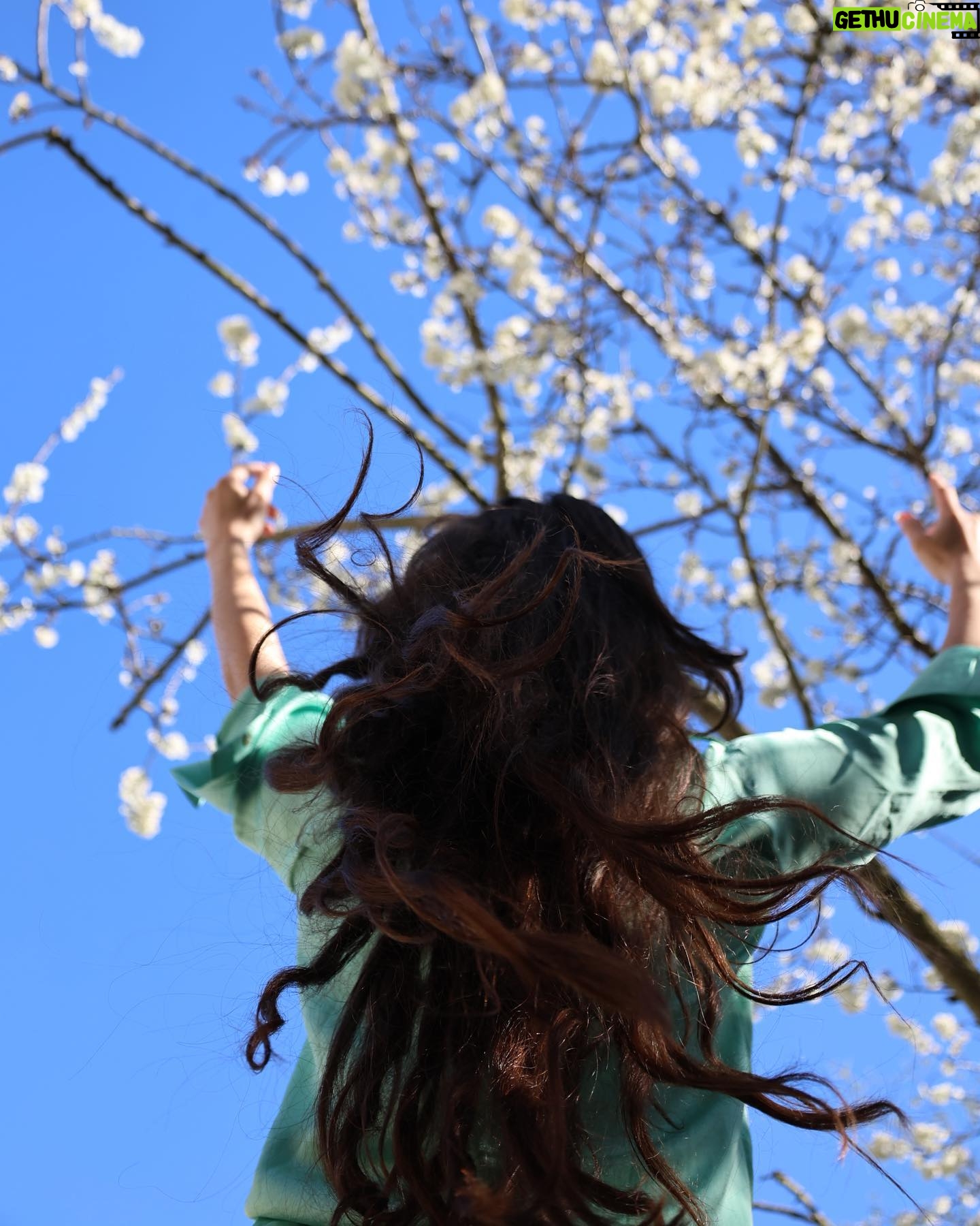 Ophélie Bau - 5.6K Likes - Spring is came !!
I hatch again 🌻
📸 @anthonybajon