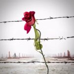 Orietta Berti Instagram - "L' indifferenza racchiude la chiave per comprendere la ragione del male, perchè quando credi che una cosa non ti tocchi, non ti riguardi, allora non c'è limite all'orrore. L' indifferente è complice. Complice dei misfatti peggiori." (Liliana Segre) Per non dimenticare #giornatadellamemoria #27gennaio #lagiornatadellamemoria #pernondimenticare #giornatadellamemoria2024 #memoria #pernondimenticare #pace🏳️‍🌈