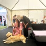 Ornella Koktová Instagram - Marto, moc vám děkuju💛…tolik dobré energie a dobrých slov. Takové povídání si budu pamatovat navždy.💛🍀