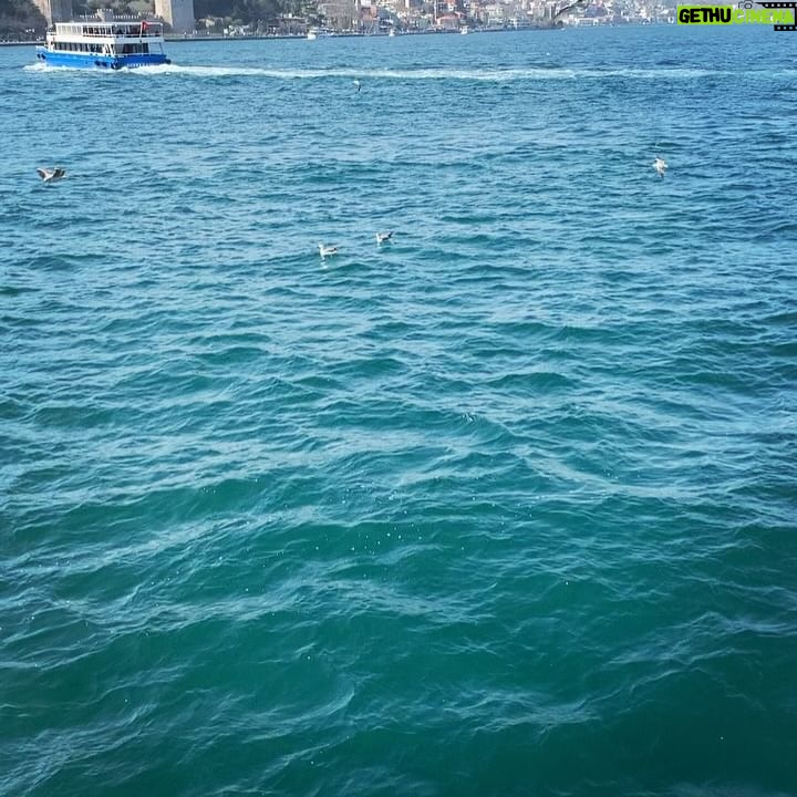 Oya Okar Instagram - 1. Krep’le yürürken karşılaştıklarımız 🌬️ 2. Selam 🙋♀️ 3. Vapurculuk ve Martılar🍀 4. Baba Sahne 7 yaşında 🥳👏👏 @babasahne 5. Özçekim 😎