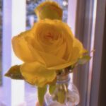 Oya Taşanlar Instagram - Jan dump 💛