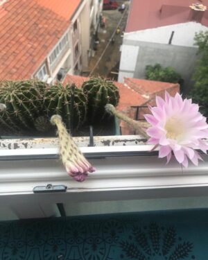 Özlem Çınar Instagram - 
