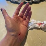Paget Brewster Instagram - My fault…