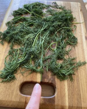 Paget Brewster Instagram - Dill drying