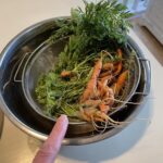 Paget Brewster Instagram - Homegrown carrots!!