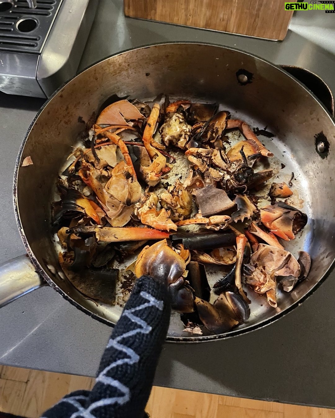 Paget Brewster Instagram - Broil shells