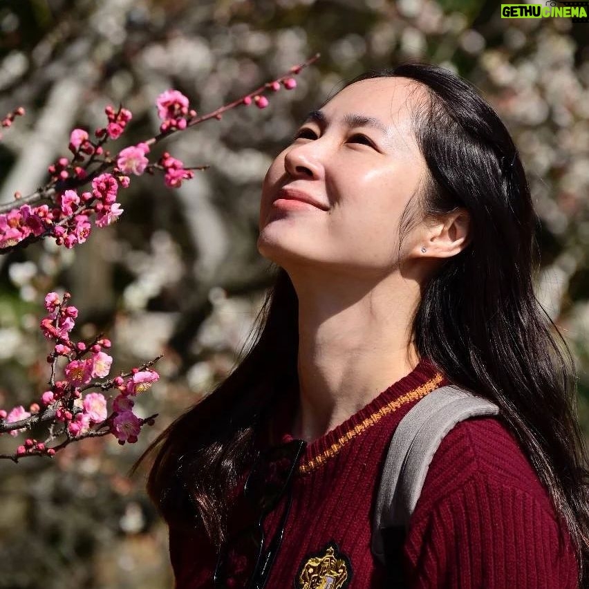 Paige Chua - 3.8K Likes - I wasn't in Japan for the Sakura season but I was pleasantly surprised by the presence of the understated Plum Blossom.
Not as well known as her higher profile Cherry Blossom cousin, the Plum blossom exudes her own beauty n fragrance. I am so grateful to have taken a stroll among them...💜