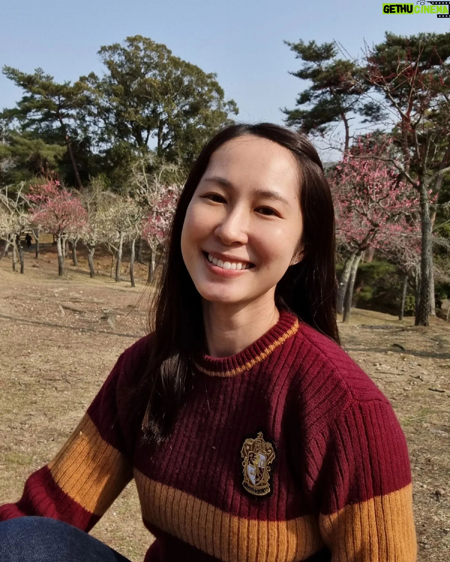 Paige Chua - 3.8K Likes - I wasn't in Japan for the Sakura season but I was pleasantly surprised by the presence of the understated Plum Blossom.
Not as well known as her higher profile Cherry Blossom cousin, the Plum blossom exudes her own beauty n fragrance. I am so grateful to have taken a stroll among them...💜