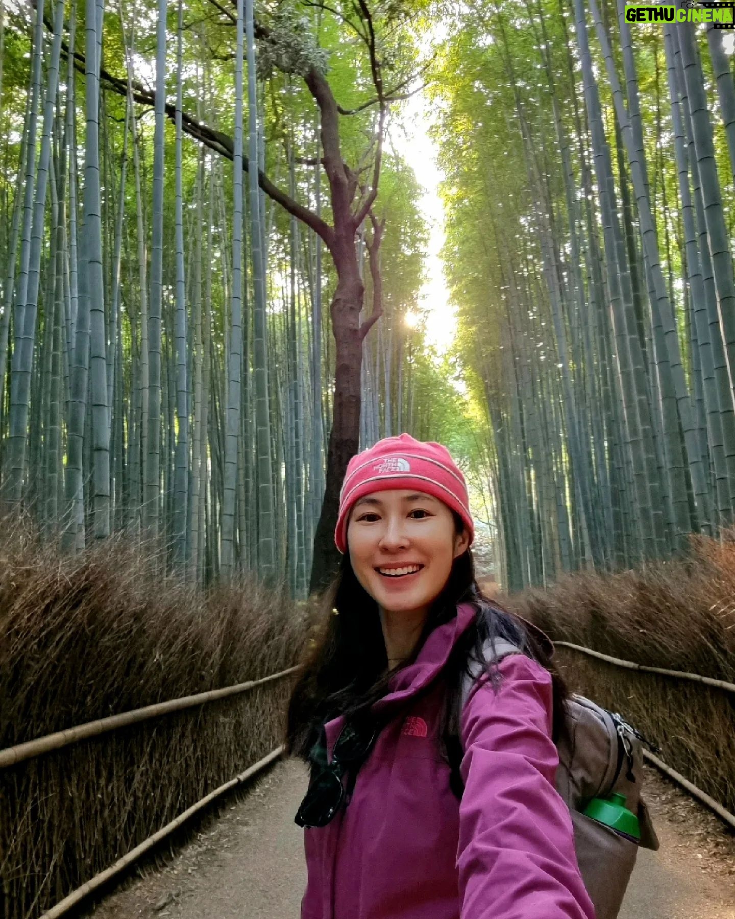 Paige Chua - 2.7K Likes - Brochure shot!
Don't be mistaken, there were lots of visitors. I waited for a long time to get shots that seemed like the coast was clear...
It was worth it..
#arashiyama
