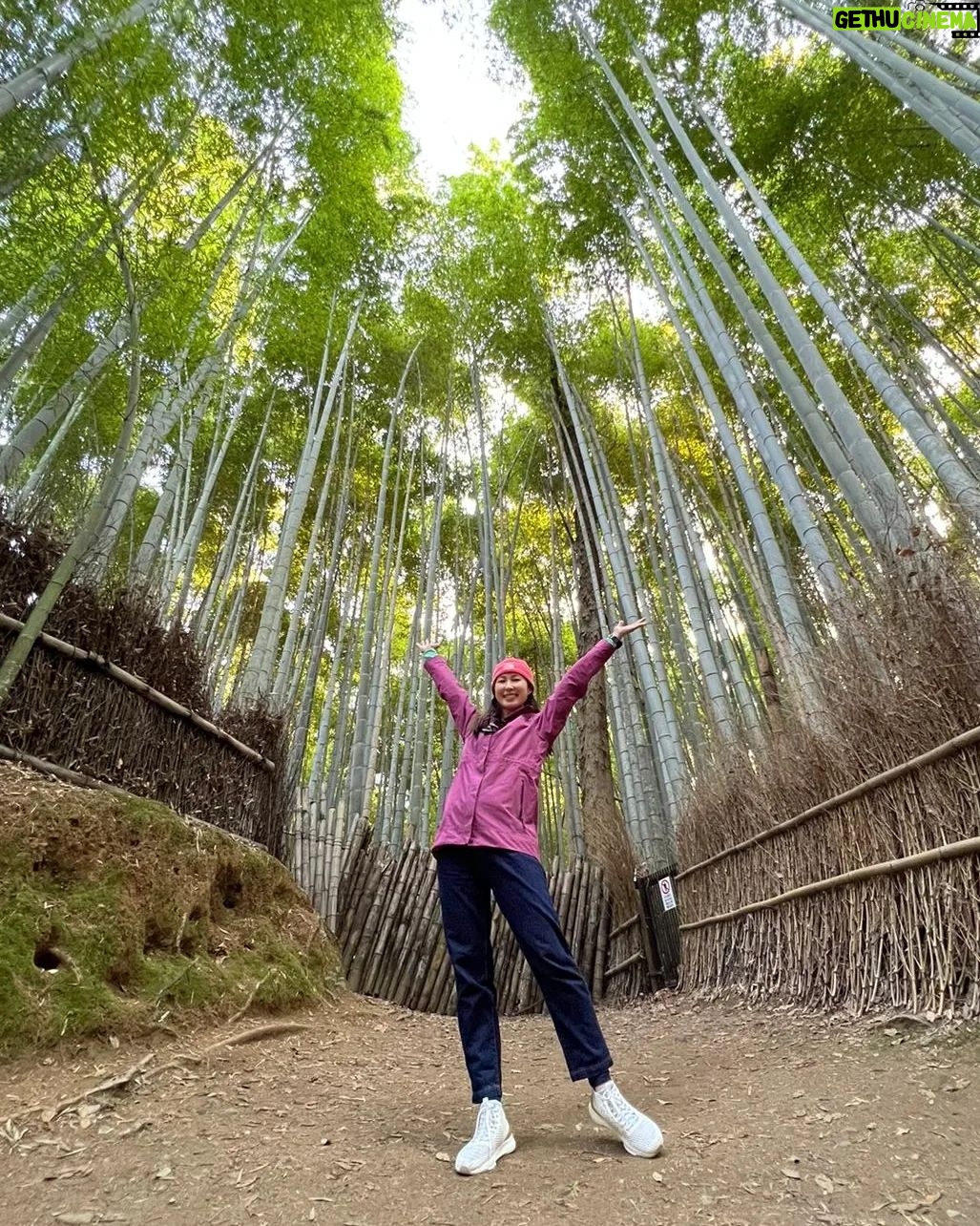 Paige Chua - 2.7K Likes - Brochure shot!
Don't be mistaken, there were lots of visitors. I waited for a long time to get shots that seemed like the coast was clear...
It was worth it..
#arashiyama