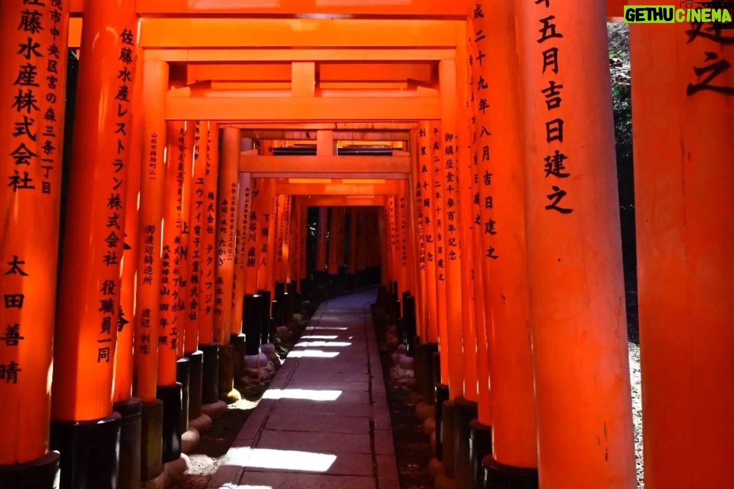 Paige Chua - 2.1K Likes - Kyoto is a destination I've been wanting to visit for the longest time. The charm, and nostalgia of the celebrated cultural capital of Japan fascinated me.
Well, as of all major cities, Kyoto has also been modernised. But the remnants of the past is still evident and held in pride.
#fushimiinari