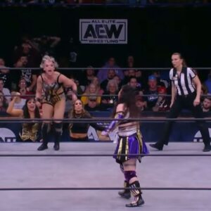 Paige Wooding Instagram - Another one drinks the Hayterade…

#AEWRampage 
#HayterHitsHard