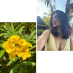 Pallavi Patil Instagram - Be patient with yourself 🌸🌼🌺 . . Don’t miss last photo 😁 . . #flowersandme #goa #metime #doodling #pallavipatil