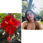 Pallavi Patil Instagram - Be patient with yourself 🌸🌼🌺 . . Don’t miss last photo 😁 . . #flowersandme #goa #metime #doodling #pallavipatil