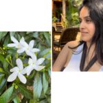 Pallavi Patil Instagram - Be patient with yourself 🌸🌼🌺 . . Don’t miss last photo 😁 . . #flowersandme #goa #metime #doodling #pallavipatil