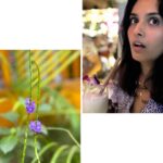 Pallavi Patil Instagram - Be patient with yourself 🌸🌼🌺 . . Don’t miss last photo 😁 . . #flowersandme #goa #metime #doodling #pallavipatil