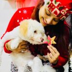 Pamela Mandal Instagram – Christmas🌲🎄

#merrychristmas #likes #like #follow #like for likes#blacksaree #love #instagood #instagram #followforfollowback #followme #photooftheday #bhfyp #instalike #photography #santaclaus l #instadaily #picoftheday #beautiful #myself #likeforfollow #fashion #smile #followers #likeforlike #followback #f #comment #likesforlike #modellife @pammisromeo