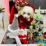 Pamela Mandal Instagram – Christmas🌲🎄

#merrychristmas #likes #like #follow #like for likes#blacksaree #love #instagood #instagram #followforfollowback #followme #photooftheday #bhfyp #instalike #photography #santaclaus l #instadaily #picoftheday #beautiful #myself #likeforfollow #fashion #smile #followers #likeforlike #followback #f #followforfollow #comment #likesforlike #modellife @pammisromeo