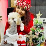 Pamela Mandal Instagram – Christmas🌲🎄
#merrychristmas #likes #like #follow #like for likes#blacksaree #love #instagood #instagram #followforfollowback #followme #photooftheday #bhfyp #instalike #photography #santaclaus l #instadaily #picoftheday #beautiful #myself #likeforfollow #fashion #smile #followers #likeforlike #followback #f #followforfollow #comment #likesforlike #modellife @pammisromeo
