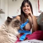 Pamela Sambrano Instagram - Fuente de agua para Gatos de @citypetec Vinny recibió regalitos que compartió con su Ñaña Kate. Si algo yo recomiendo al 💯 es el uso de fuentes (en especial esta) por estas razones: -Muchos gatitos sufren en su etapa adulta de insuficiencia renal y eso es por tomar poca agua y por ausencia de alimentos húmedos dentro de su dieta. Aunque tú gato tome mucha agua, estas fuentes le hacen tomar MUCHÍSIMA MÁS. (También juegan y se bañan 😂) -Como el agua está en constante movimiento, siempre sale fresquita. -Esta fuente usa un filtro de agua (dura 30 días) esto te garantiza que el agua siempre está en buen estado. Beneficios para mi: -Enciende una luz, eso hace que en la noche sirva de lámpara. -Cuando se queda sin agua se pone color rojo, así te avisa que la llenes. -Es silenciosa 💓 bueno esto también es un beneficio para mis bebés. Vinny y Kate dicen gracias @citypetec 🤍 #catsofinstagram #siberiancat #persacat #siberiano #gatopersa #gatos #funnycats #citypet