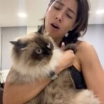 Pamela Sambrano Instagram - El que diga que no soy la madre de mis hijos 🐈 🐈‍⬛ no sabe nada de la vida. Adjunto evidencias: fotos 4y6. Voy con rulo porque quiero llegar peinada donde mi mamita, la gente me mira raro. Pero al final eso nunca importa. Wall eeeeeeeee 🥹🥹🥹 Te amo @vicentetaianoec 🐱 Abrazo melcochoso para todas las mamitas y los papás que hacen de mamitas también 💓