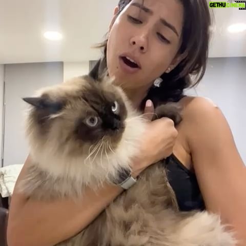 Pamela Sambrano - 2.4K Likes - El que diga que no soy la madre de mis hijos š šā⬠no sabe nada de la vida. Adjunto evidencias: fotos 4y6.
Voy con rulo porque quiero llegar peinada donde mi mamita, la gente me mira raro. Pero al final eso nunca importa.
Wall eeeeeeeee š„¹š„¹š„¹
Te amo @vicentetaianoec š±
Abrazo melcochoso para todas las mamitas y los papĆ”s que hacen de mamitas tambiĆ©n š