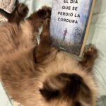 Pamela Sambrano Instagram - Fa-fa-fa-fa, fa-fa-fa-fa-fa-fa 🎶