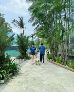 Pan Lingling Instagram - GO! GO! GO!
GO for a walk!
GO for a healthy lifestyle. Hubby and I love to walk with our fur kiddos!

Therefore, wearing a pair of shoes that is absolutely comfortable and that makes each of our steps more efficient and effortless is super important! Introducing Skechers GOwalk 7 that we are wearing – the seventh generation of Skechers’ iconic walking shoes. It’s our best walking companion now ❣❣

Also…Skechers Friendship Walk 2024 is back!!! Have a fun walk with your beloved Skechers GOwalk 7 shoes. On 8 June 2024 at OCBC Square @ Singapore Sports Hub. There will be activities for family, friends and even our fur kiddos to join in.

Sign up now via the link in @skecherssg’s bio! See you there ❤

#skecherssg #SkechersFriendshipWalk2024 #SkechersGOwalk7