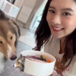 Pannin Charnmanoon Instagram - มาดู Food Prep ของน้อนน่อนกัน🐶💞 บ้านอื่นใส่อะไรกันบ้างคะ? ของเราจะขาดอาหารเม็ดไม่ได้เลย ต้องเกรด Holistic ด้วยนะ✅ รอบนี้ใช้เป็นของ @realpower_th ถูกใจเดน่อนสุดๆ คุณประโยชน์ครบถ้วน🥩🥚🥕🥬🫐💖 #shetlandsheepdog #foodprep