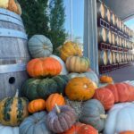 Paola Andino Instagram – Fall in Fredericksburg 🍂