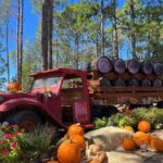 Paola Andino Instagram – Fall in Fredericksburg 🍂