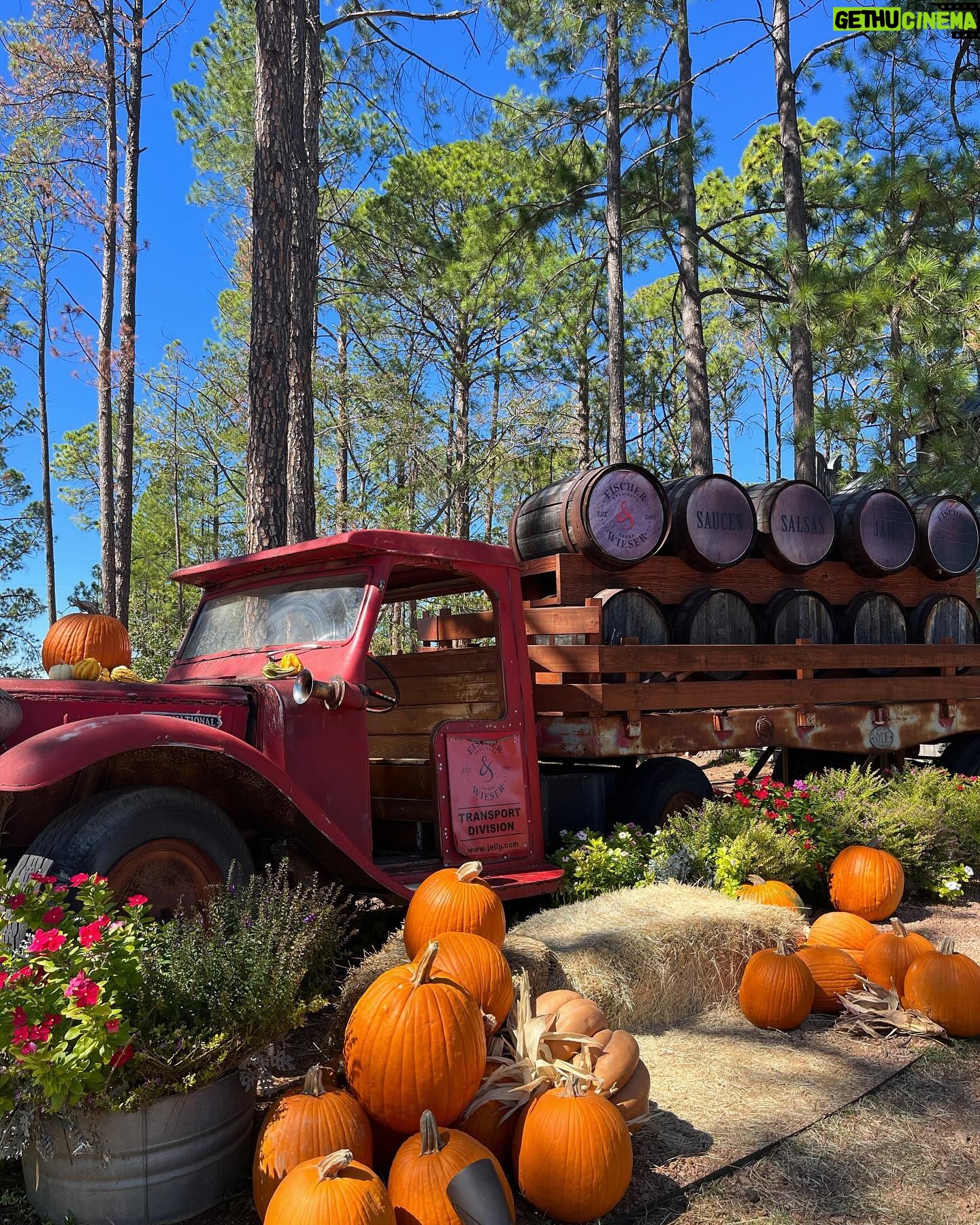 Paola Andino Instagram - Fall in Fredericksburg 🍂