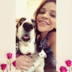 Paola Lázaro Instagram - “TheSe ArE BeTiNa’S tEeth” Credit of second video to @hbo @markruffalo @wallylambauthor and “I Know This Much Is True” for the shoutout to all the Basset Hounds out there 🌷🦷 #Betina #BassetHound #droopyface #f*ckedupteeth Did y’all watch “I Know This Much Is True”?