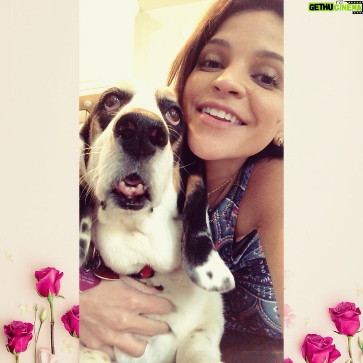 Paola Lázaro Instagram - “TheSe ArE BeTiNa’S tEeth” Credit of second video to @hbo @markruffalo @wallylambauthor and “I Know This Much Is True” for the shoutout to all the Basset Hounds out there 🌷🦷 #Betina #BassetHound #droopyface #f*ckedupteeth Did y’all watch “I Know This Much Is True”?