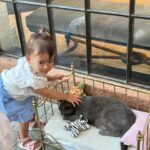 Paola Shea Instagram – Memorial day weekend with my girly at the place where her mama and dada got married @rosewoodmansionturtlecreek