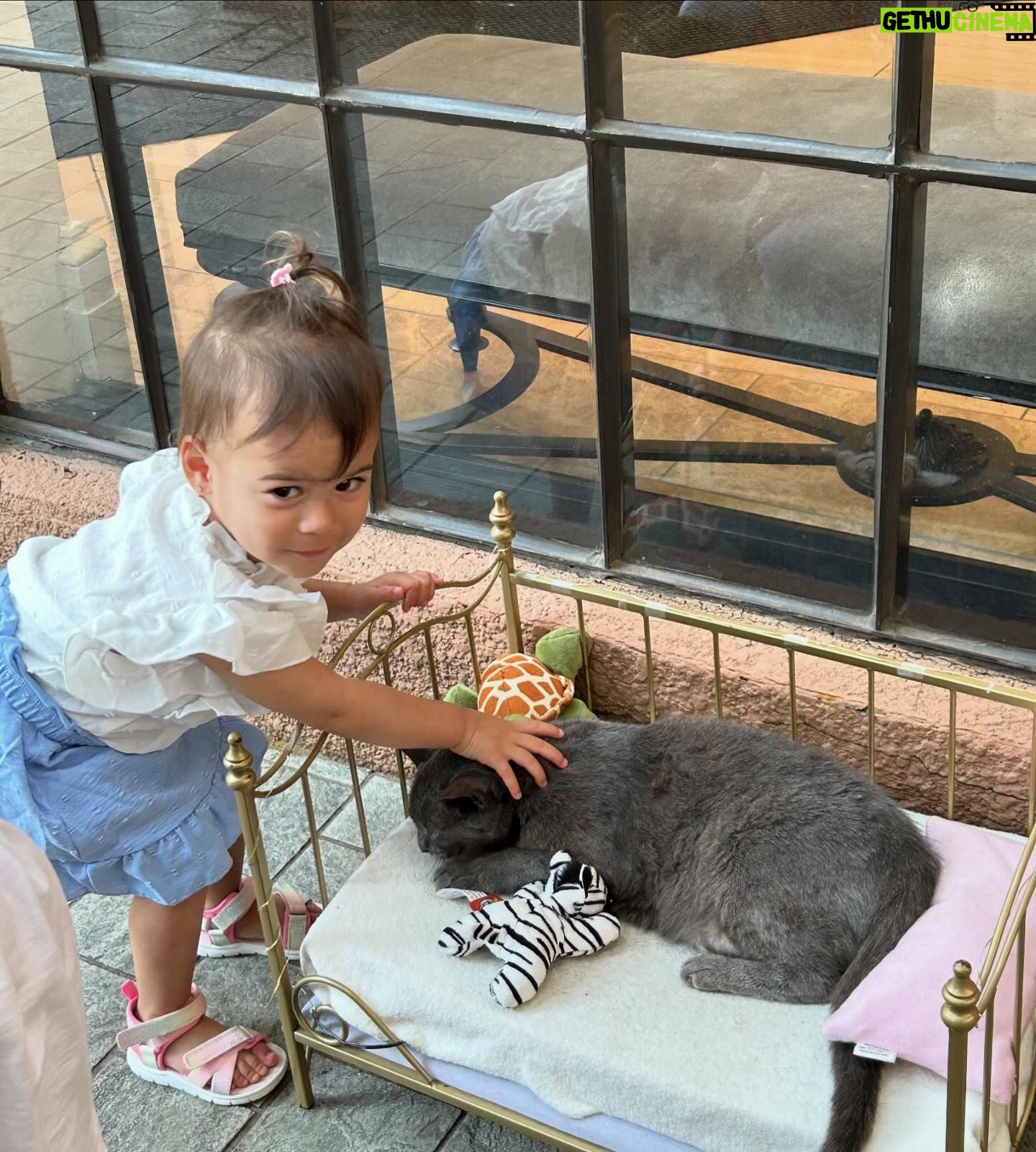 Paola Shea Instagram - Memorial day weekend with my girly at the place where her mama and dada got married @rosewoodmansionturtlecreek