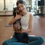 Paparwadee Chansamorn Instagram - Keep clam and yoga puppys 🧘‍♀️🐶✨ @puppyyogabkk