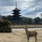 Paparwadee Chansamorn Instagram - 🦌🤎✨